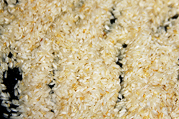 рис на гарнир